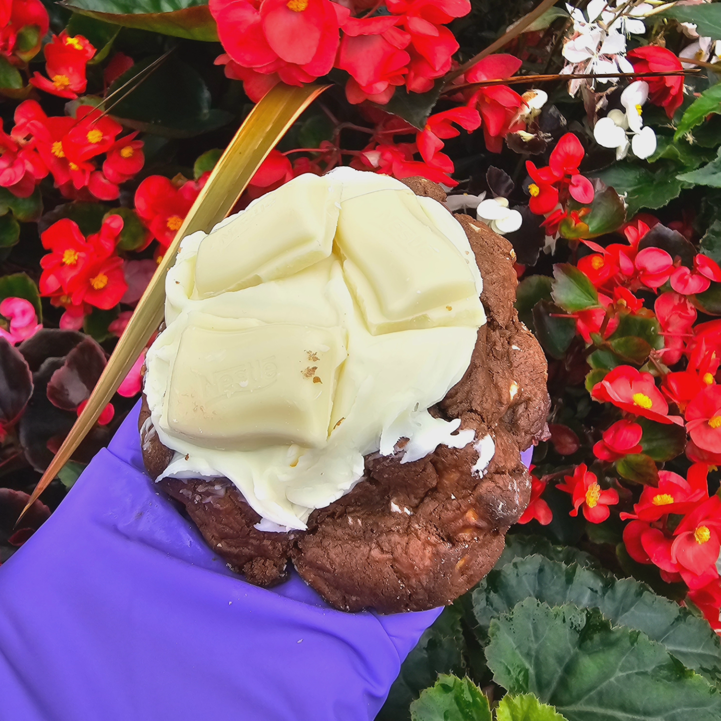 Milky Bar Double Choc Cookie