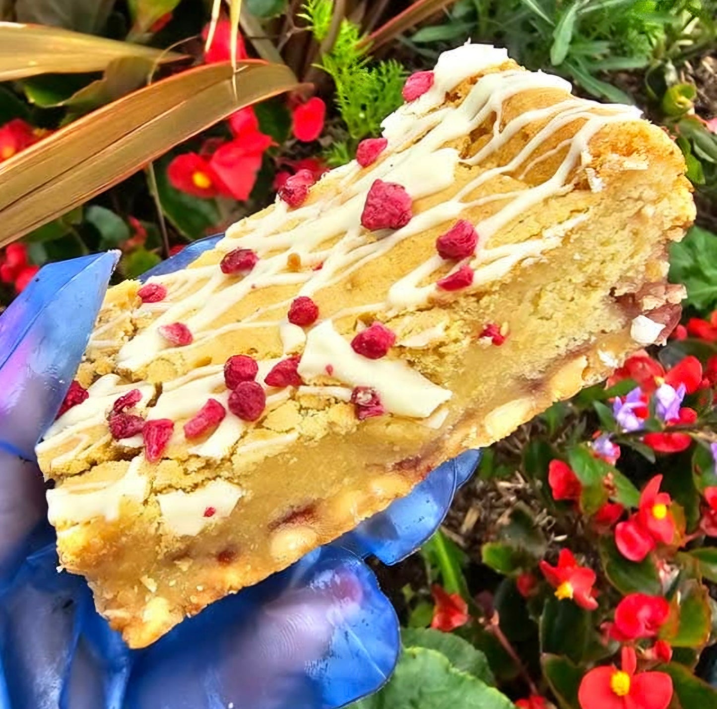 White Chocolate & Raspberry Blondie