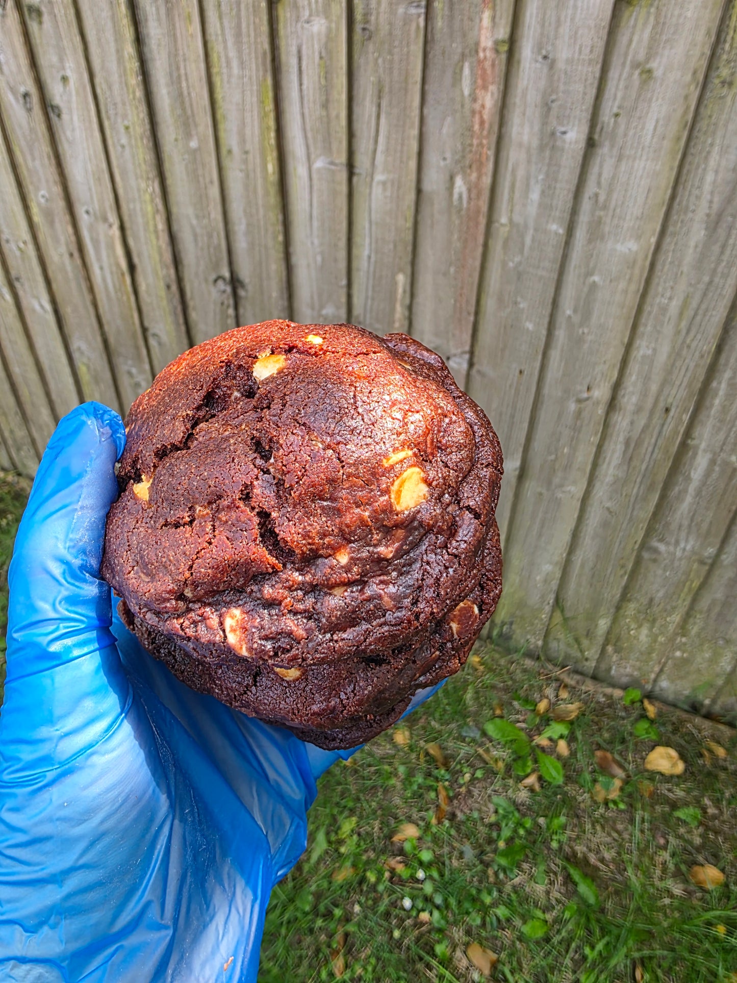 Cookie Double Chocolate