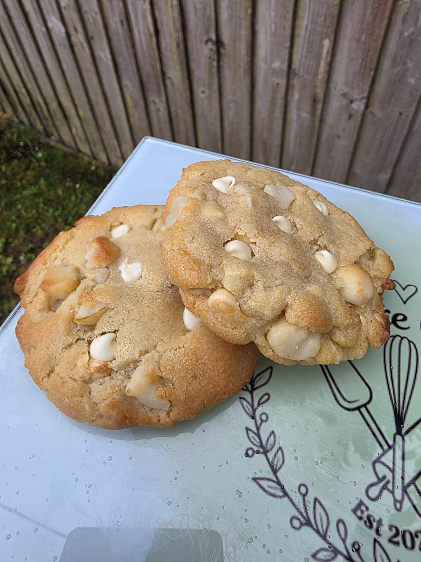 Cookie - Macadamia Nut and White Chocolate